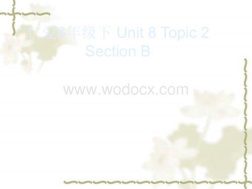 八年级英语Beautiful Clothes课件2.ppt