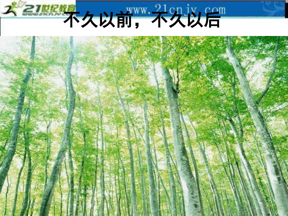 湘教版四年级上册《童诗两首 不久之前不久之后》PPT课件.ppt_第3页