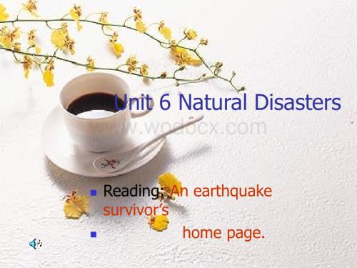 八年级英语Natural Disasters课件5.ppt