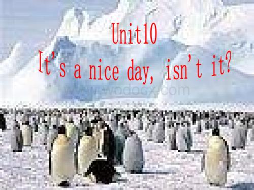 八年级英语It’s a nice day isn’t it课件1.ppt