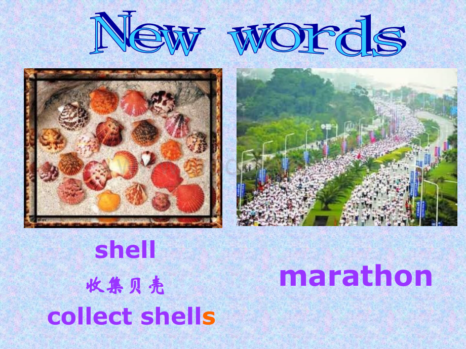 八年级英语How long have you been collecting shells.ppt_第2页