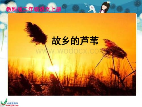 教科版五年级上册《故乡的芦苇》PPT课件2.ppt