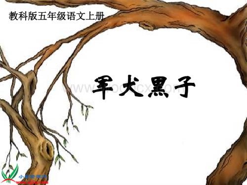 教科版五年级上册《军犬黑子》PPT课件.ppt
