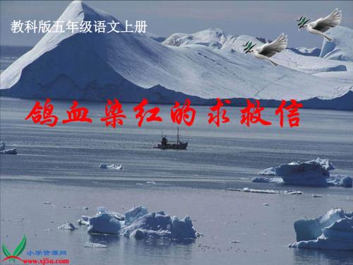 教科版五年级上册《鸽血染红的求救信》PPT课件.ppt