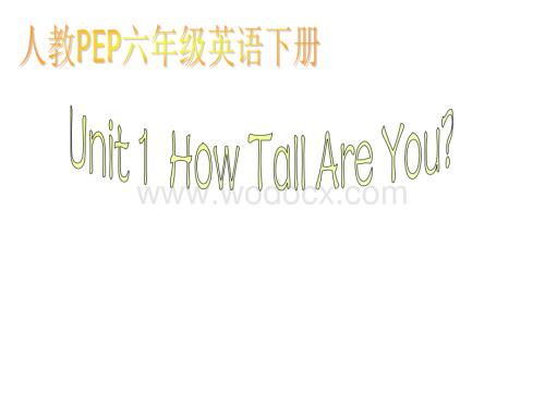 六年级英语how tall are you课件2.ppt