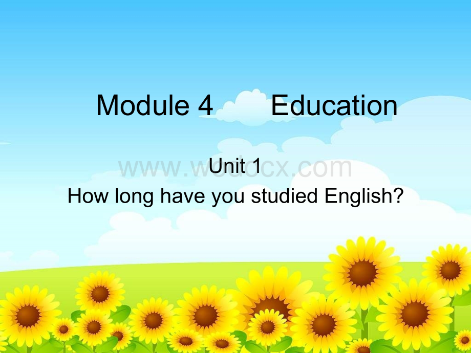 八年级英语How long have you studied English课件4.ppt_第1页