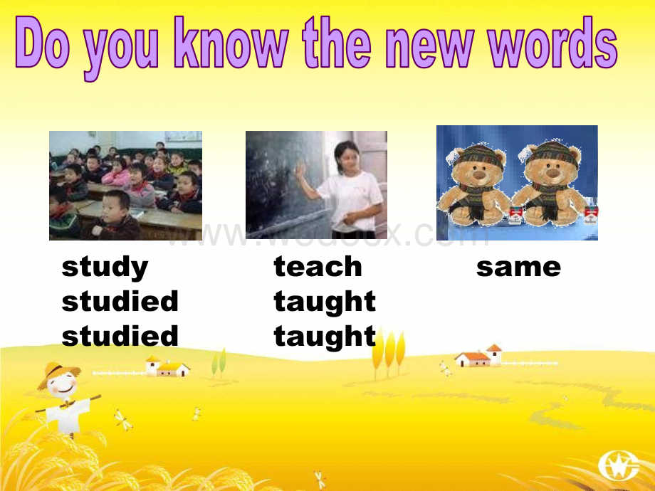 八年级英语How long have you studied English课件3.ppt_第3页