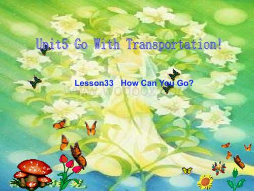 八年级英语Go With Transportation课件1.ppt