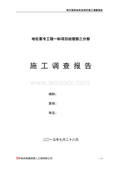 施工调查报告.doc