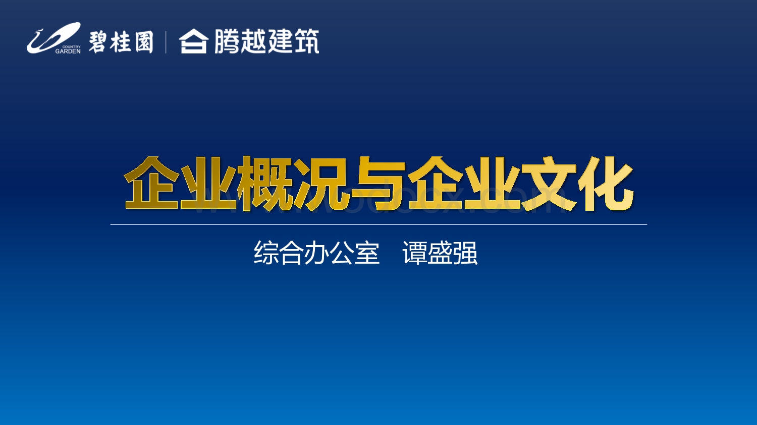 企业概况与企业文化.pdf_第1页