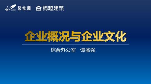 企业概况与企业文化.pdf