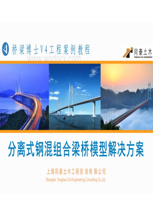 分离式钢混组合梁桥模型解决方案.pdf