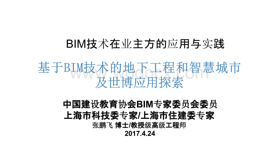 基于BIM技术的地下工程和智慧城市.pptx_第1页