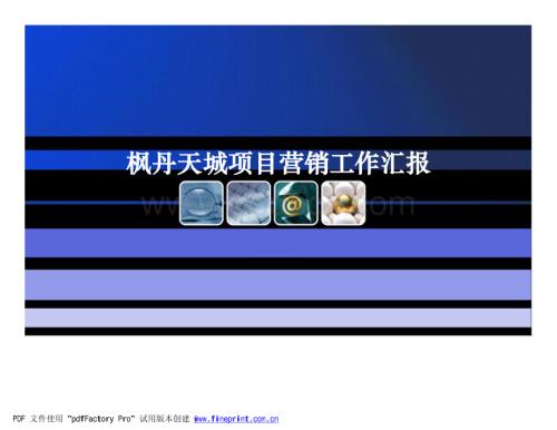 枫丹天城项目营销工作汇报.pdf