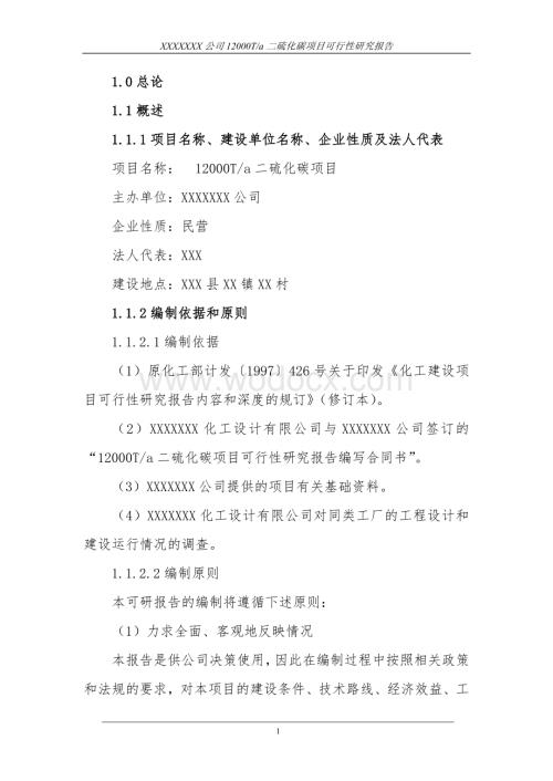 12000ta二硫化碳项目可行性研究报告.doc
