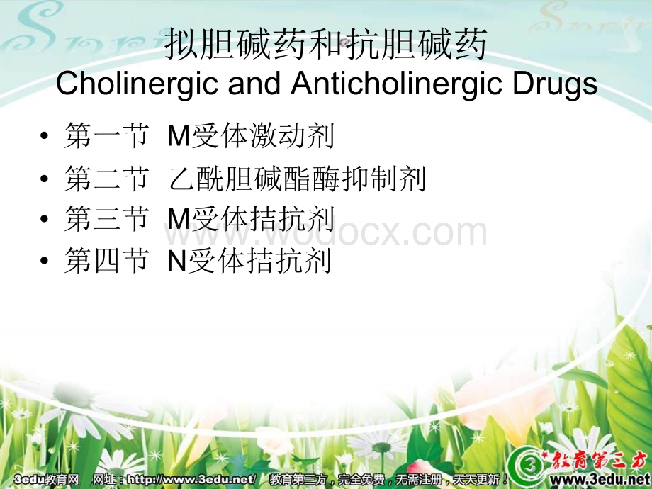 七年级生物神经系统的组成.ppt_第3页