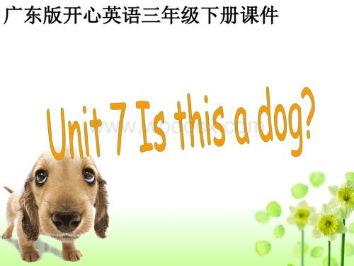 开心学英语三年级上册《Unit 7 Is this a dog》ppt课件.pps