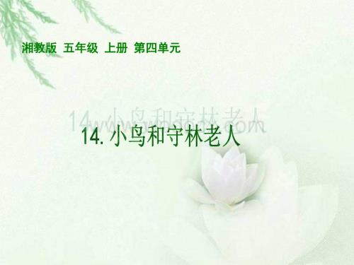 五年级语文小鸟和守林人.ppt