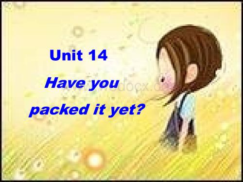 新目标九年级英语Unit 14课件.ppt