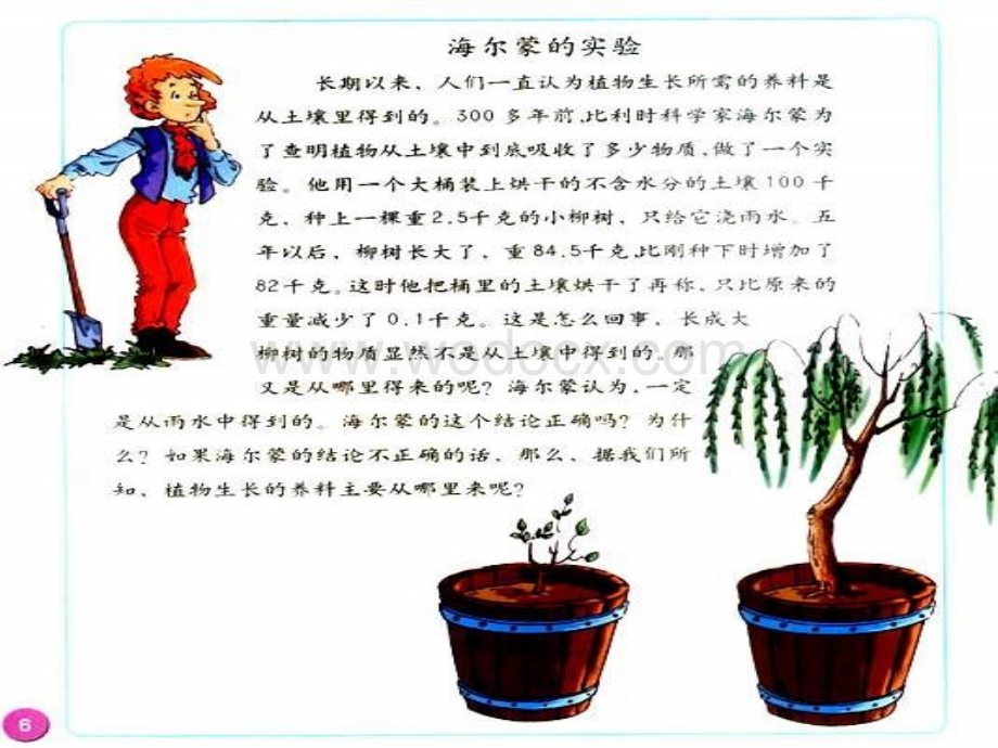 植物怎样生存[五年级科学].ppt_第2页
