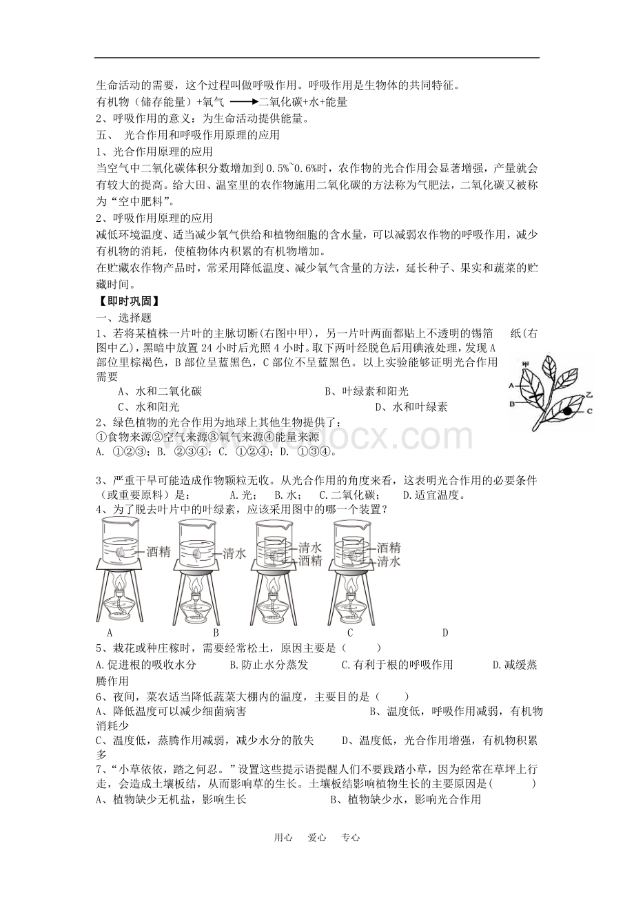 七年级生物上：第3单元第6章绿色植物的光合作用和呼吸作用复习学案苏教版.doc_第2页