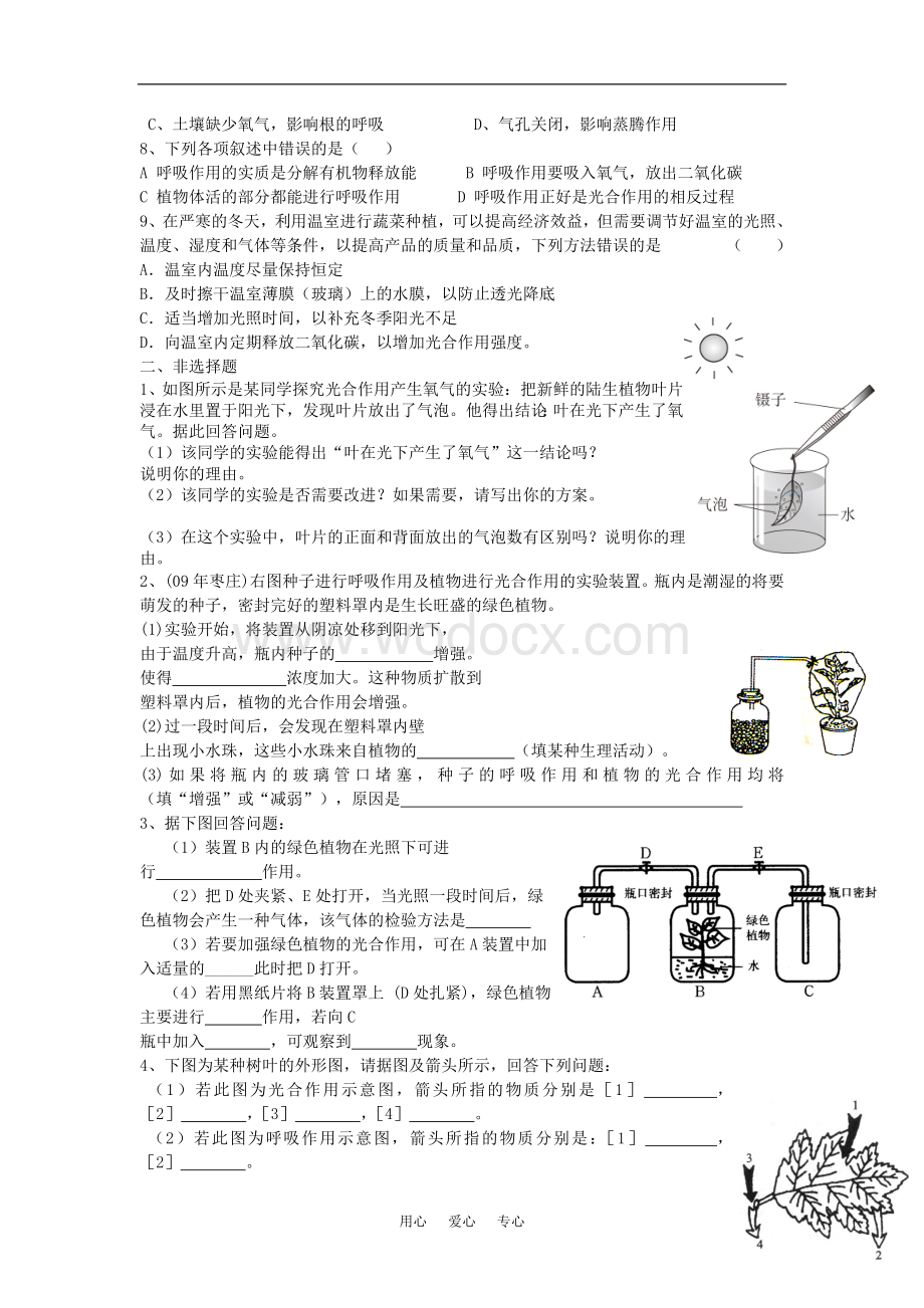 七年级生物上：第3单元第6章绿色植物的光合作用和呼吸作用复习学案苏教版.doc_第3页