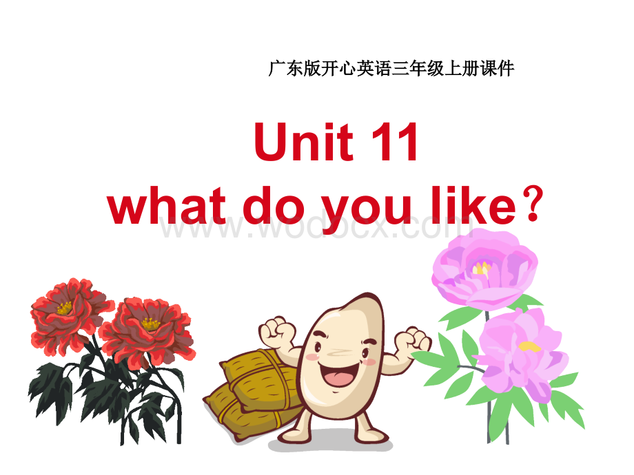 开心学英语三年级上册《Unit 11 What do you like》ppt课件.ppt_第1页