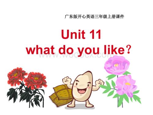 开心学英语三年级上册《Unit 11 What do you like》ppt课件.ppt
