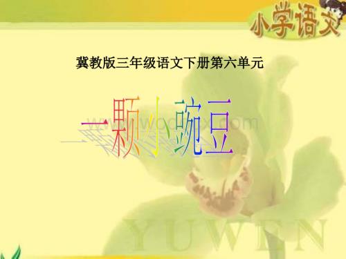 冀教版三年级下册《一颗小豌豆》课件.ppt