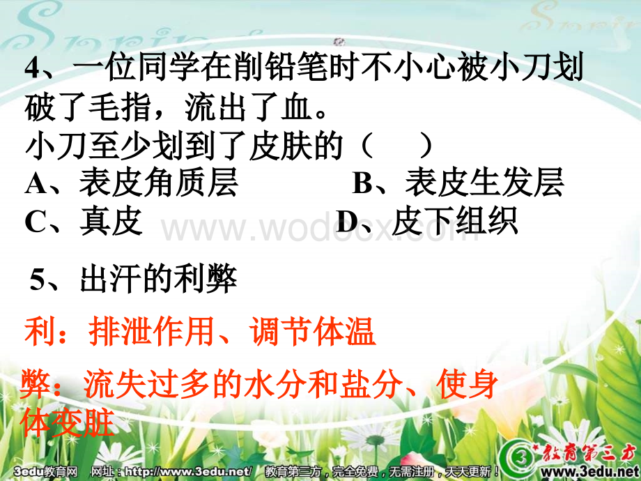 七年级生物尿的形成与排出1.ppt_第2页