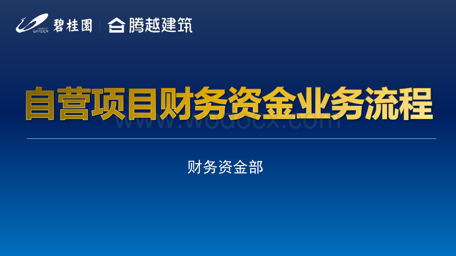 碧桂园项目经理自营项目财务资金业务流程.pdf_第1页