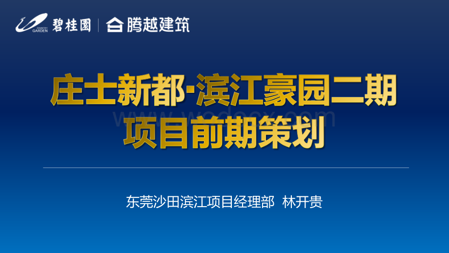 碧桂园东莞沙田滨江项目前期策划.pptx_第1页