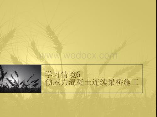 学习情境6 预应力混凝土连续梁桥施工.ppt