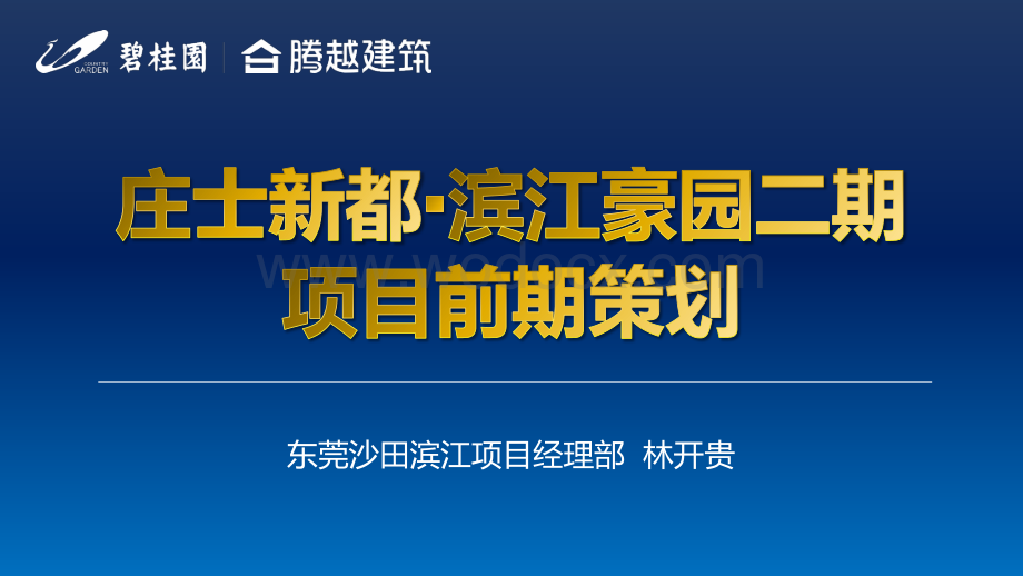 碧桂园东莞沙田滨江项目前期策划.pdf_第1页