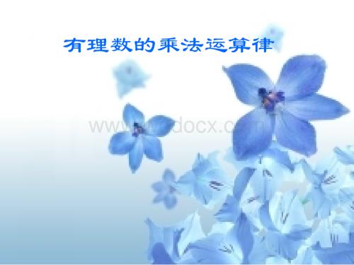 华师大版七年级上册2.9.2有理数的乘法运算律课件PPT.ppt