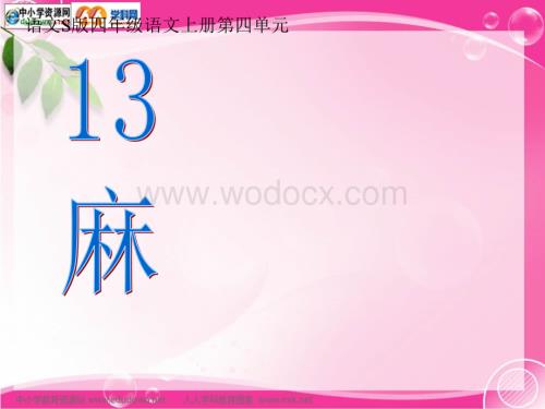 语文S版四年级上册《麻雀》PPT课件2.ppt