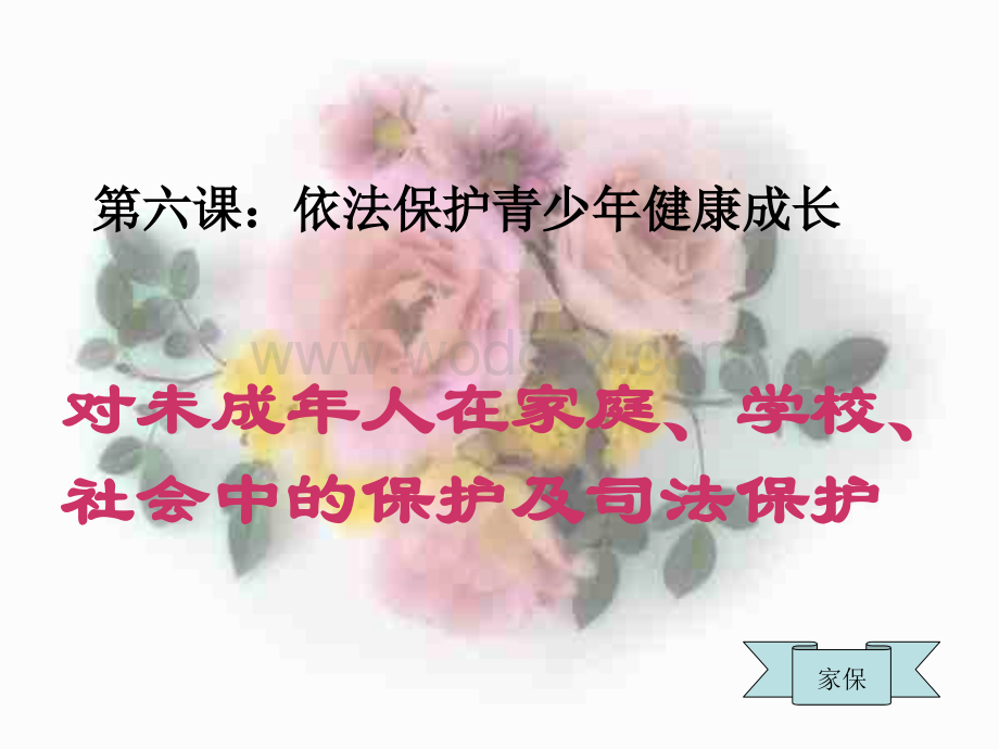 八年级政治保护青少年的健康成长.ppt_第1页