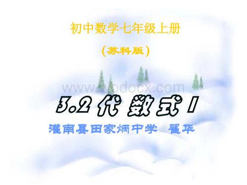 江苏省连云港市田家炳中学七年级数学《32代数式》课件.ppt