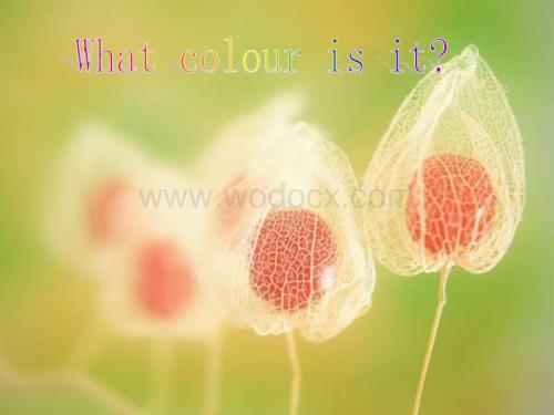 六年级英语What color is it课件.ppt