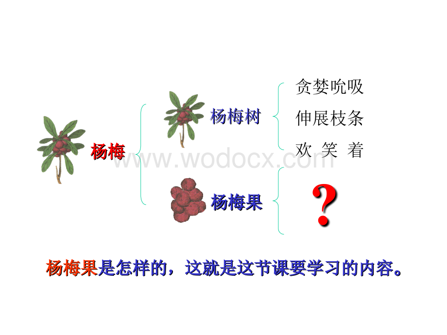 浙教版四年级下册《我爱故乡的杨梅》PPT课件.ppt_第2页