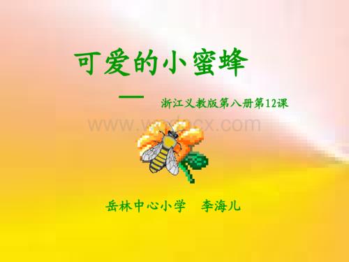 浙教版四年级下册《可爱的小蜜蜂》PPT课件.ppt