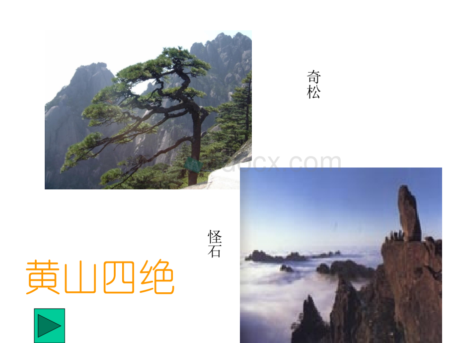 五年级语文黄山奇松2.ppt_第3页