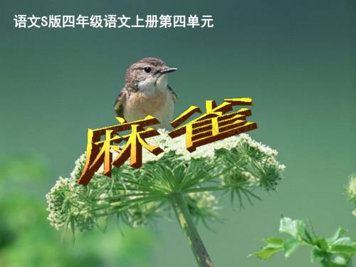 语文S版四年级上册《麻雀》PPT课件3.ppt
