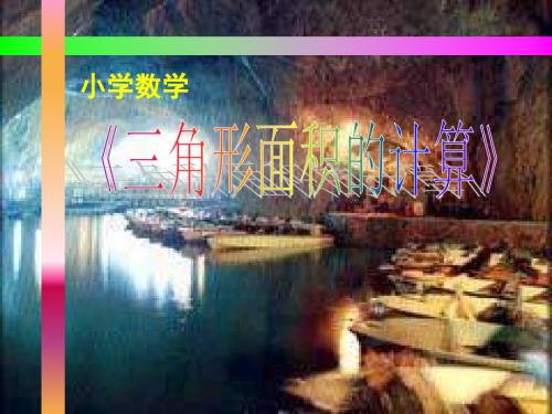 三年级数学三角形面积的计算1.PPT