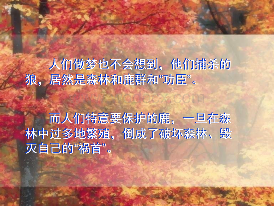 三年级语文狼和鹿.ppt_第2页