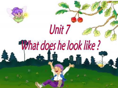 初一英语下学期unit 7 What does he look like新目标.ppt