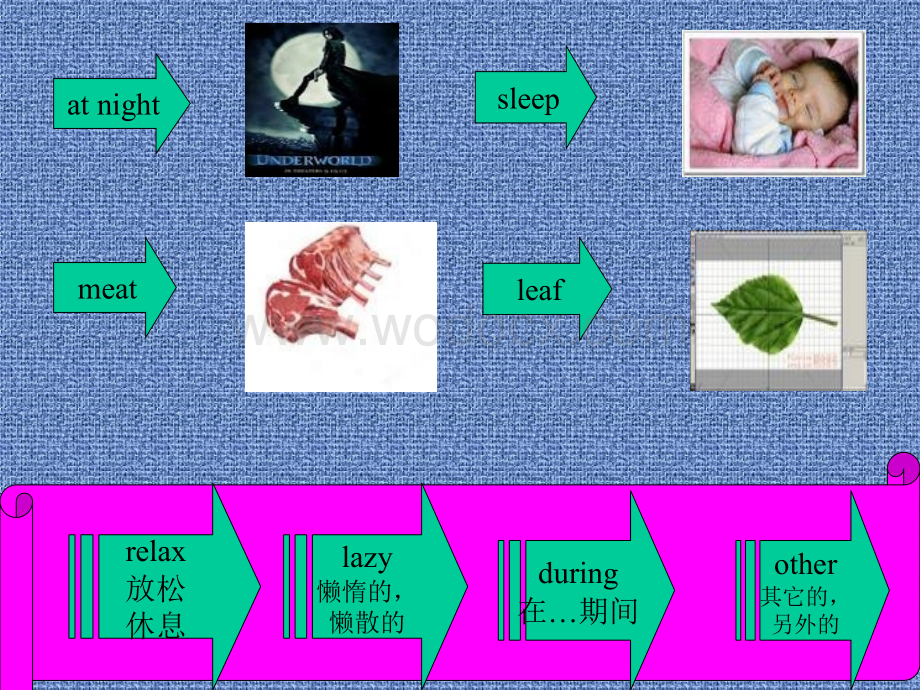 初一英语上学期Unit 3.ppt_第3页