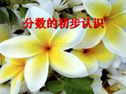 三年级数学认识几分之一.ppt