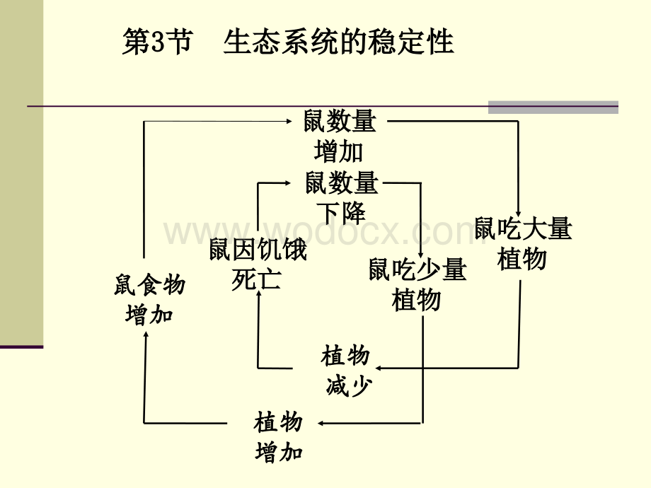 九年级科学生态系统的稳定性1.ppt_第3页