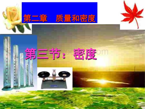 九年级物理九年级物理密度课件.ppt